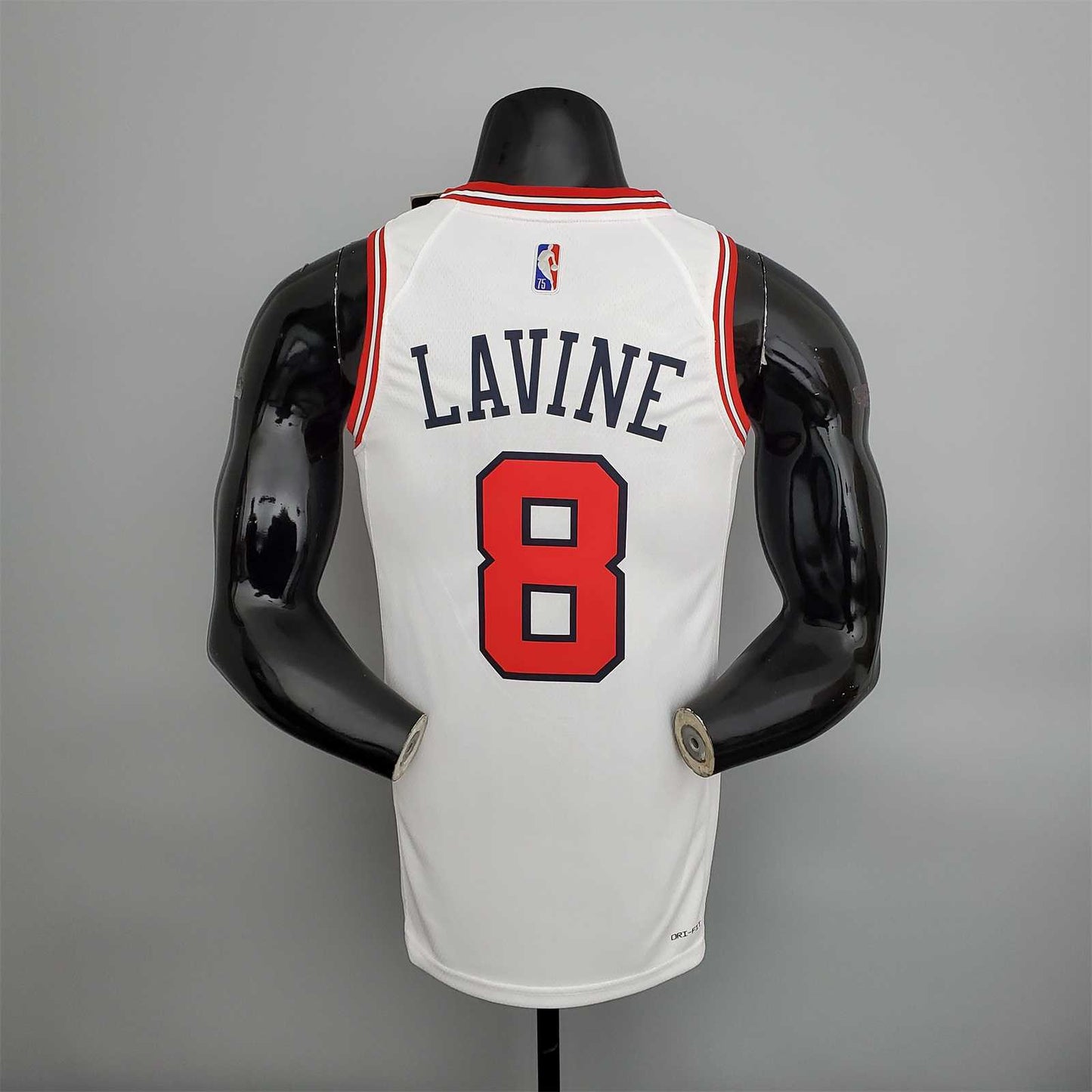 Chicago Bulls "LAVINE 8"